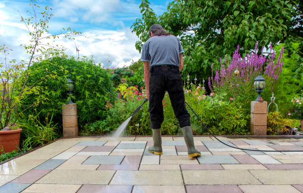 Best Driveway Cleaning and Restoration in Weston Mills, NY